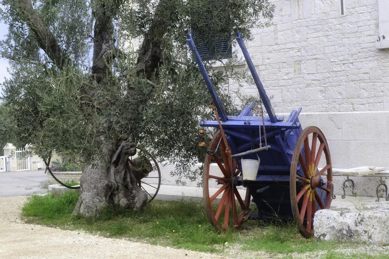 Tenuta Lama Gorga Trani Eksteriør bilde